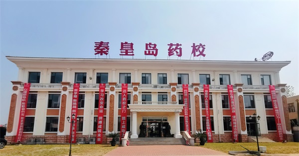 学习中医医药技术需要掌握哪些知识？